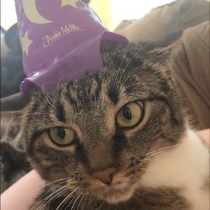 Meet your Posher, Gissel